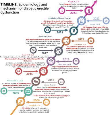 The multifaceted nature of diabetic erectile dysfunction: uncovering the intricate mechanisms and treatment strategies